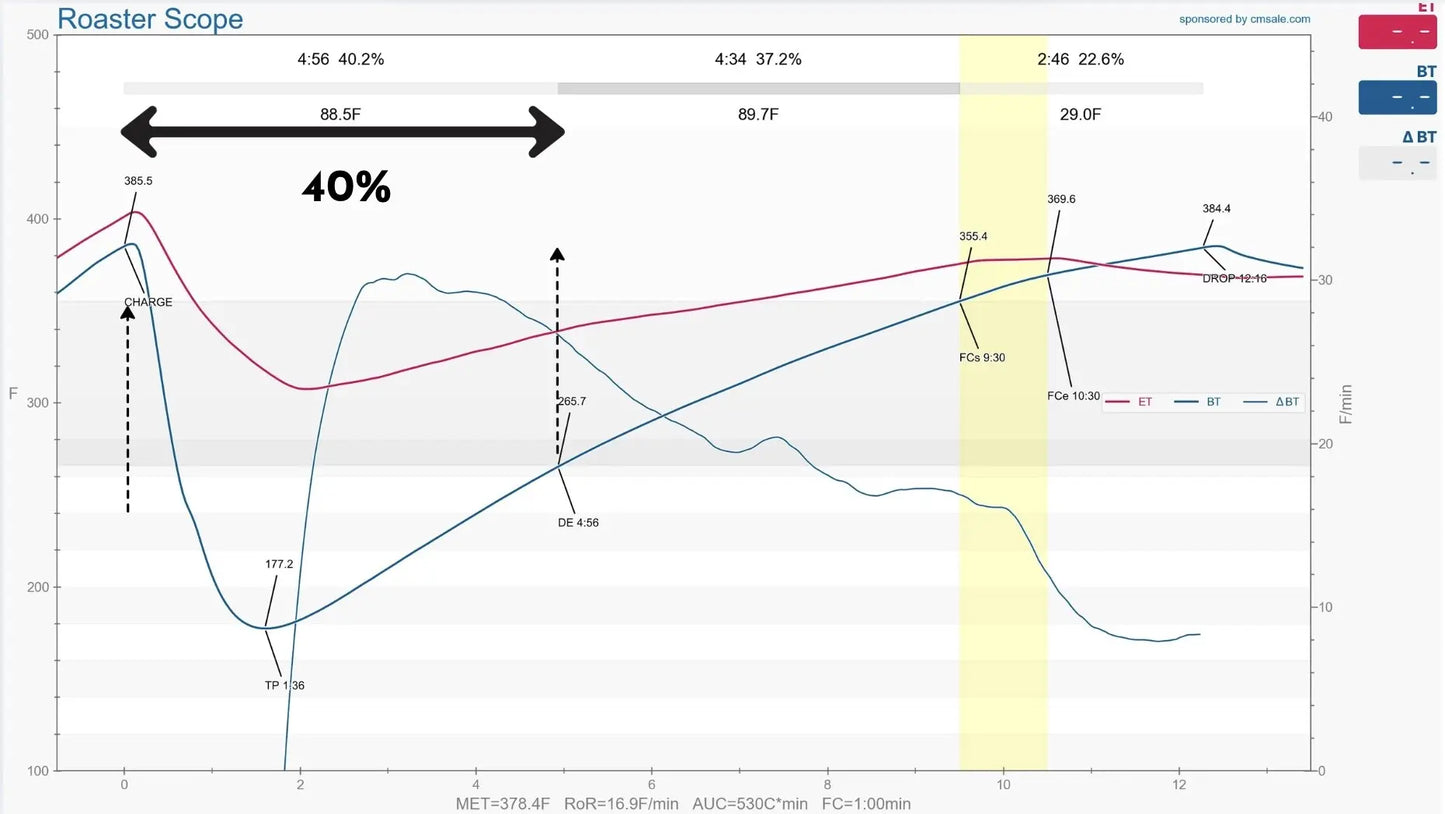 Coffee Roasting 101 - From Bean to Roast