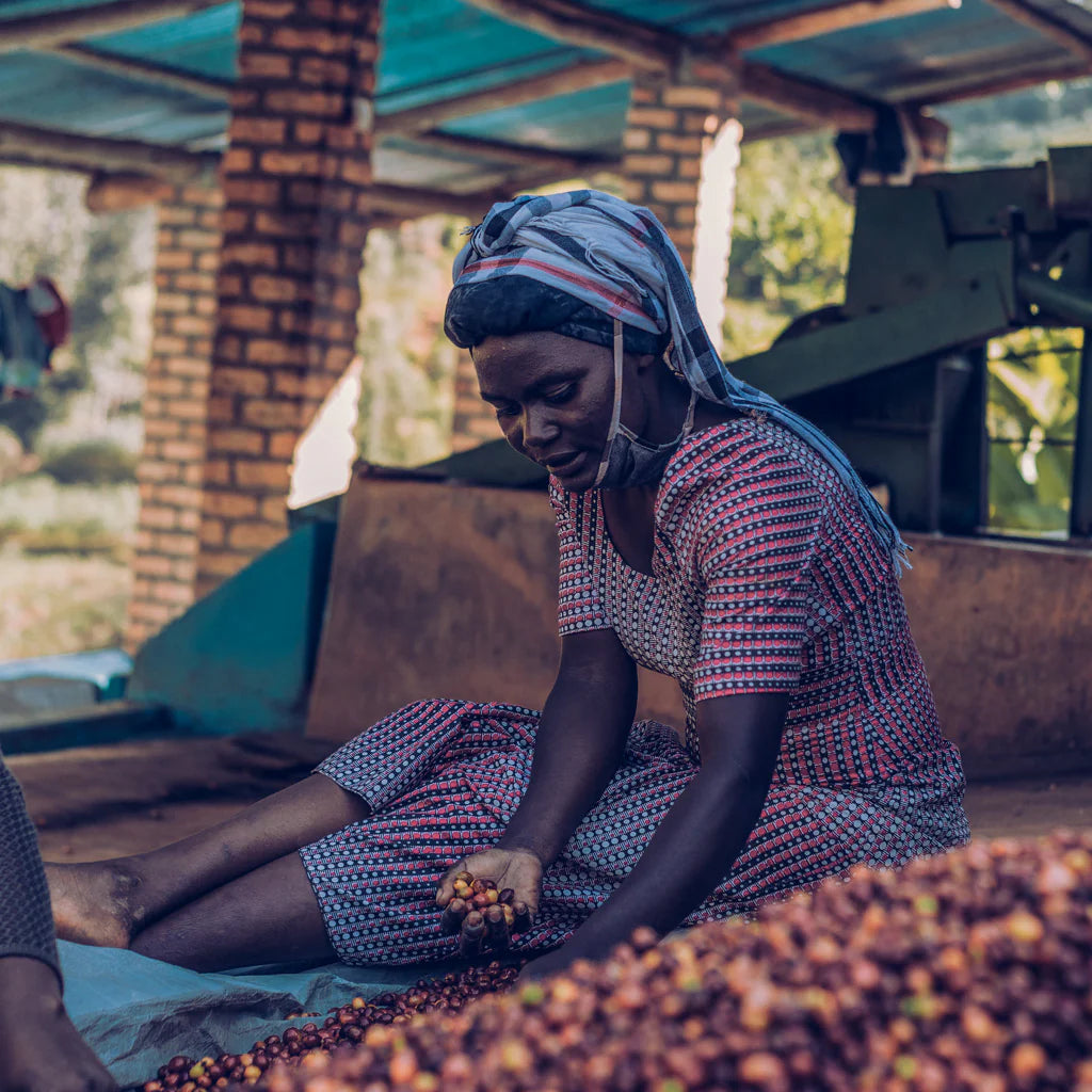 RWANDA | Organic