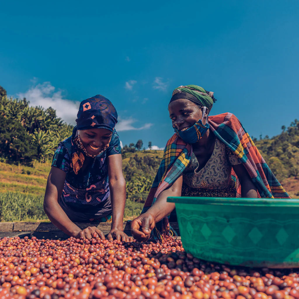 RWANDA | Organic