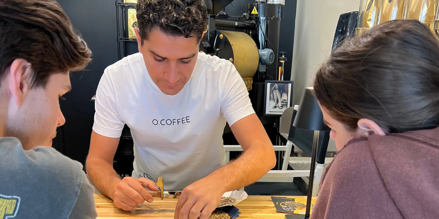 Hands-On Coffee Roasting Experience You & Friends